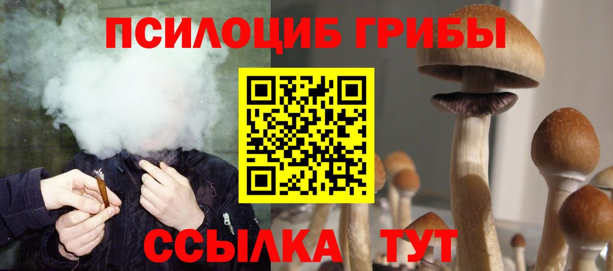 Псилоцибиновые грибы MAGIC MUSHROOMS Стрежевой